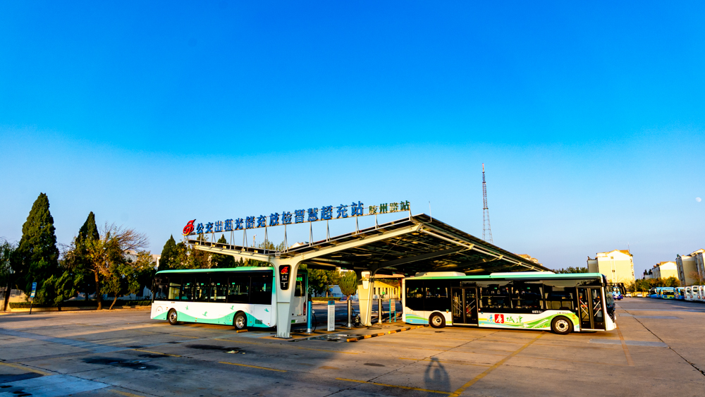 DSC09540